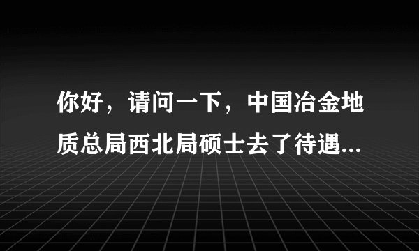 你好，请问一下，中国冶金地质总局西北局硕士去了待遇如何？希望得到你详细的回答