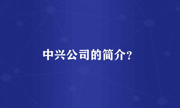 中兴公司的简介？
