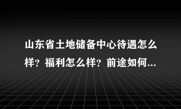 山东省土地储备中心待遇怎么样？福利怎么样？前途如何？平时忙不忙？