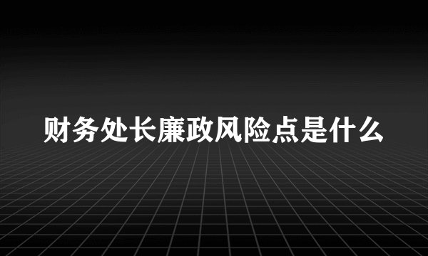 财务处长廉政风险点是什么