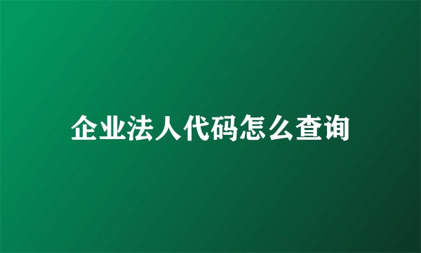 企业法人代码怎么查询