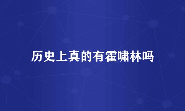 历史上真的有霍啸林吗