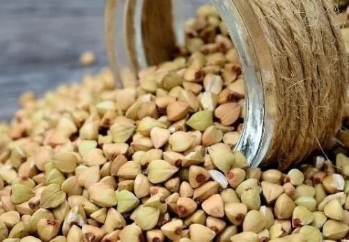 苦荞粉的功效与作用及食用方法