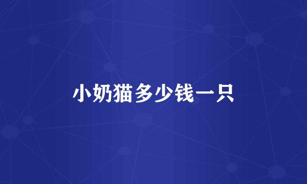 小奶猫多少钱一只