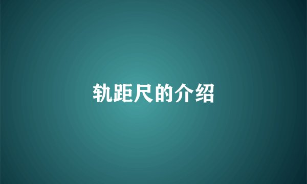 轨距尺的介绍