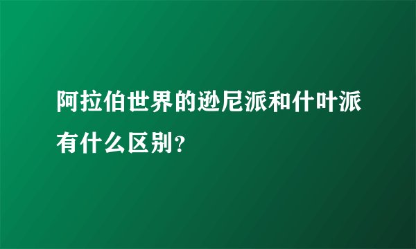 阿拉伯世界的逊尼派和什叶派有什么区别？