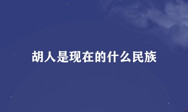 胡人是现在的什么民族