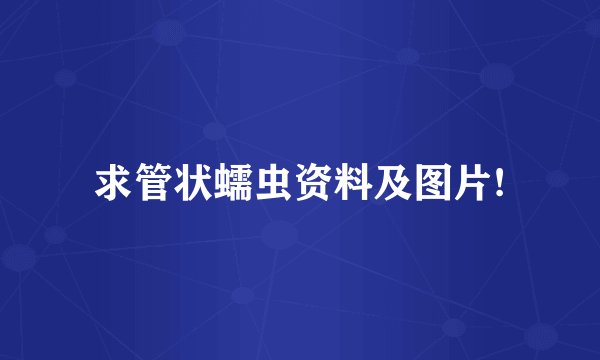 求管状蠕虫资料及图片!
