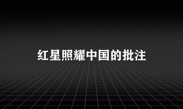 红星照耀中国的批注