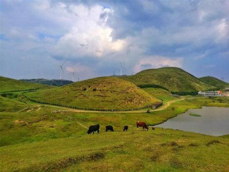 湖南郴州有什么好玩的地方 10个好玩的地方推荐（图