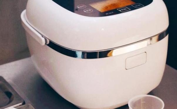 十大电饭煲品牌测评，电饭煲只有日本的好？