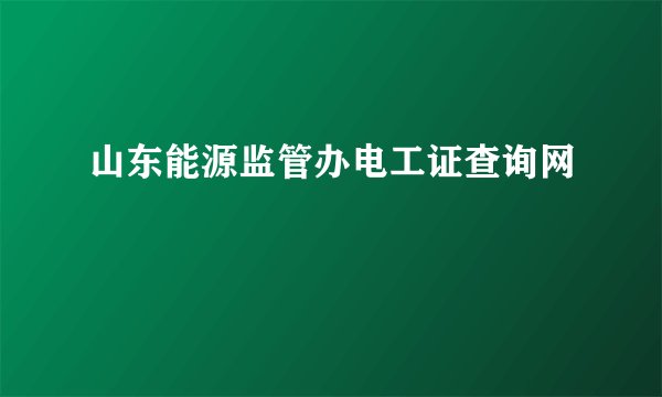 山东能源监管办电工证查询网