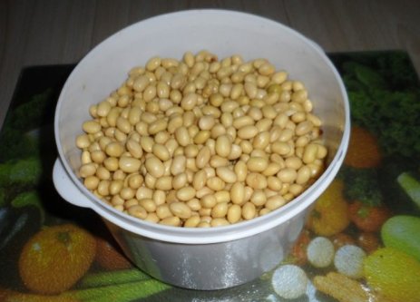 纳豆机怎么做纳豆