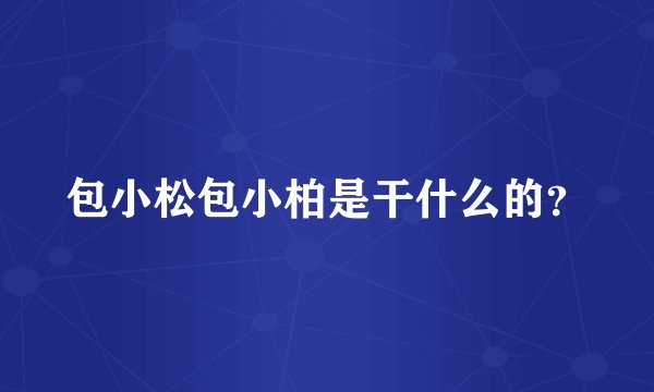 包小松包小柏是干什么的？