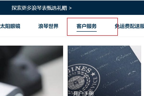 浪琴手表编号查询系统