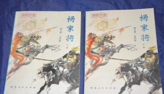 评书家刘兰芳讲过哪些评书？