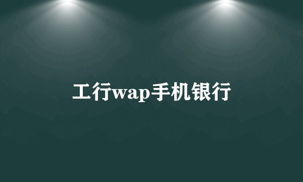工行wap手机银行