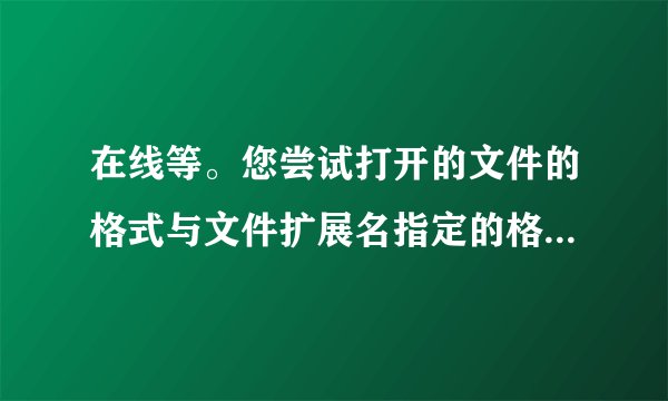 在线等。您尝试打开的文件的格式与文件扩展名指定的格式不一致