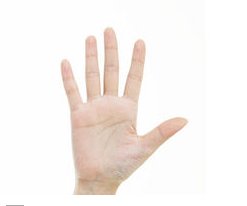 手的5个指头分别是什么名字？戒指带在5个手指分别表示什么意思