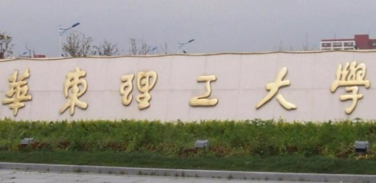 上海 211学校有哪些大学