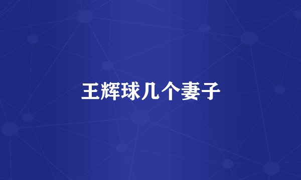 王辉球几个妻子