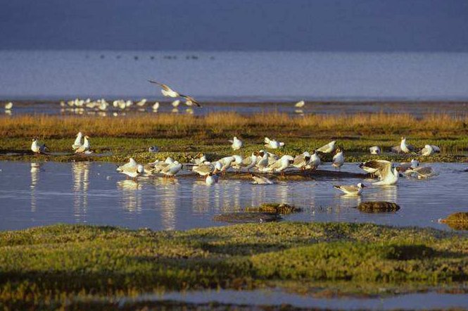 求青海旅游景点大全排名，哪些比较值得去？