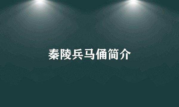秦陵兵马俑简介