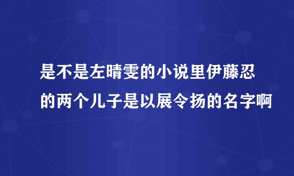 是不是左晴雯的小说里伊藤忍的两个儿子是以展令扬的名字啊
