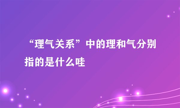 “理气关系”中的理和气分别指的是什么哇