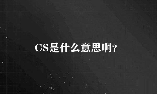 CS是什么意思啊？