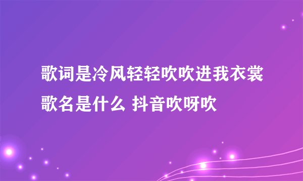 歌词是冷风轻轻吹吹进我衣裳歌名是什么 抖音吹呀吹