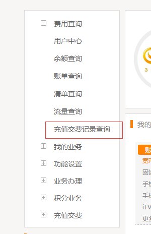 如何查询固话缴费信息
