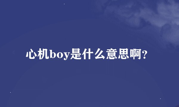 心机boy是什么意思啊？