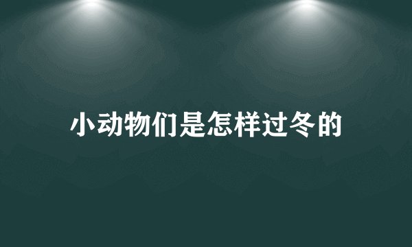 小动物们是怎样过冬的