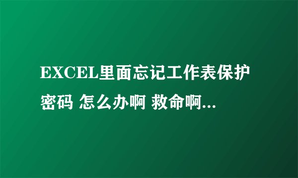 EXCEL里面忘记工作表保护密码 怎么办啊 救命啊 我需要操作啊