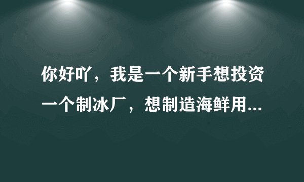 你好吖，我是一个新手想投资一个制冰厂，想制造海鲜用的冰块，100KG一条的，打算日产1000，投资需要多少？
