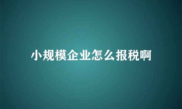 小规模企业怎么报税啊