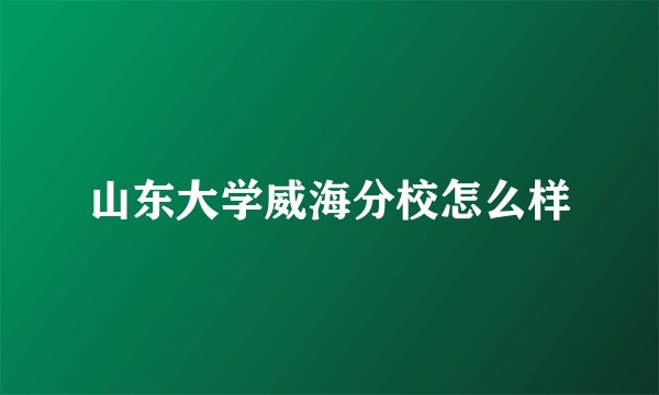 山东大学威海分校怎么样