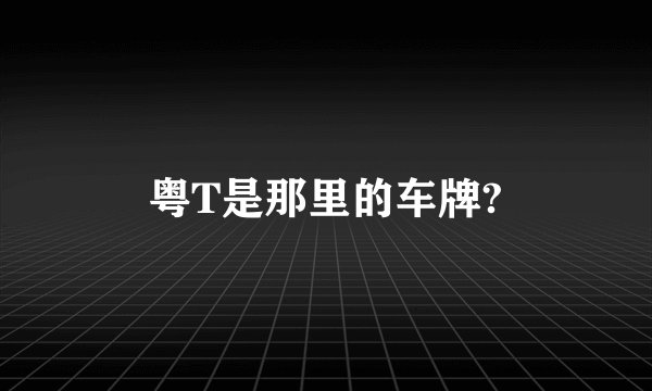 粤T是那里的车牌?