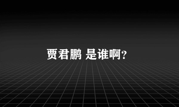 贾君鹏 是谁啊？