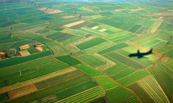 第三次全国土地调查的内容是什么?