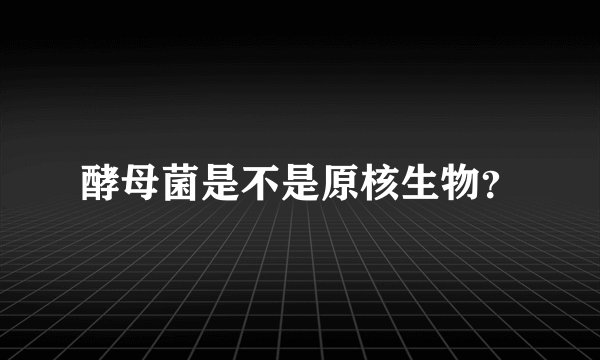 酵母菌是不是原核生物？