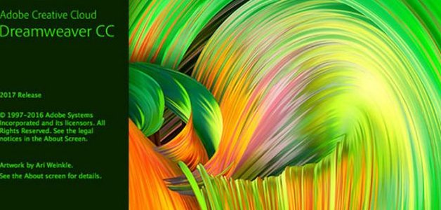 swf格式用什么播放软件播放啊