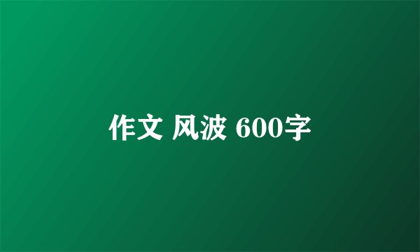 作文 风波 600字