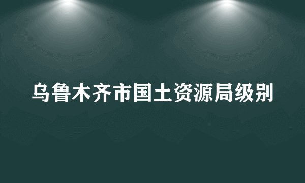 乌鲁木齐市国土资源局级别