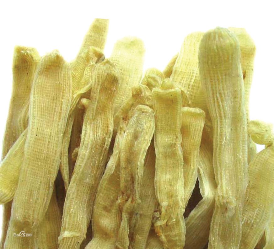 方格星虫的药用价值