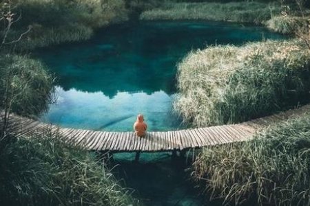 与世无争的唯美句子