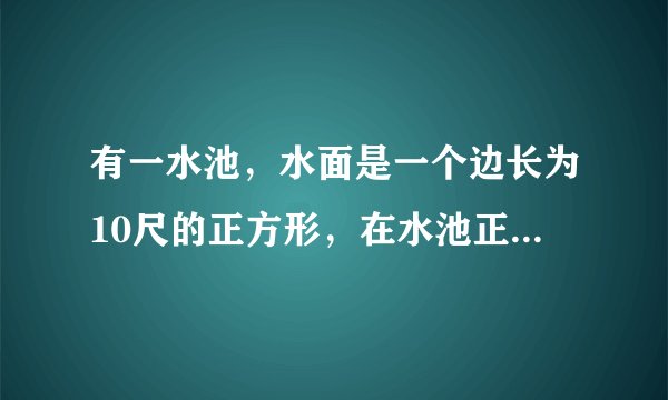 有一水池，水面是一个边长为10尺的正方形，在水池正中央有一根芦苇，他高出水面一尺，如果把这跟芦苇拉