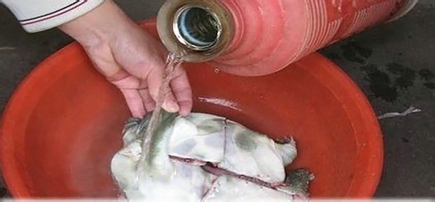 团鱼怎么杀？