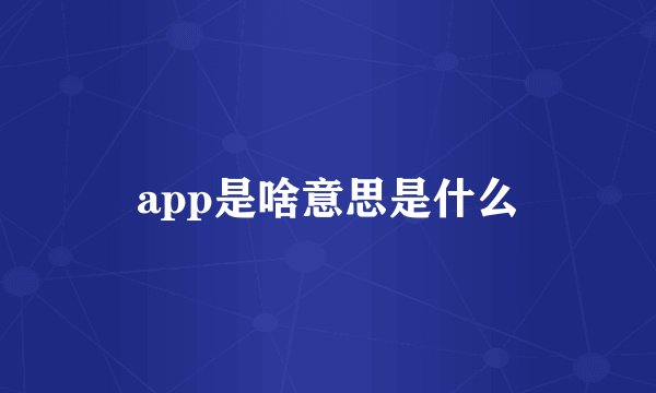 app是啥意思是什么